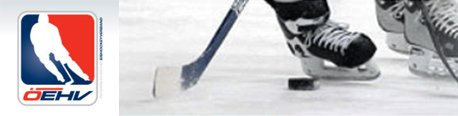 Eishockeyverband Eishockeyverband